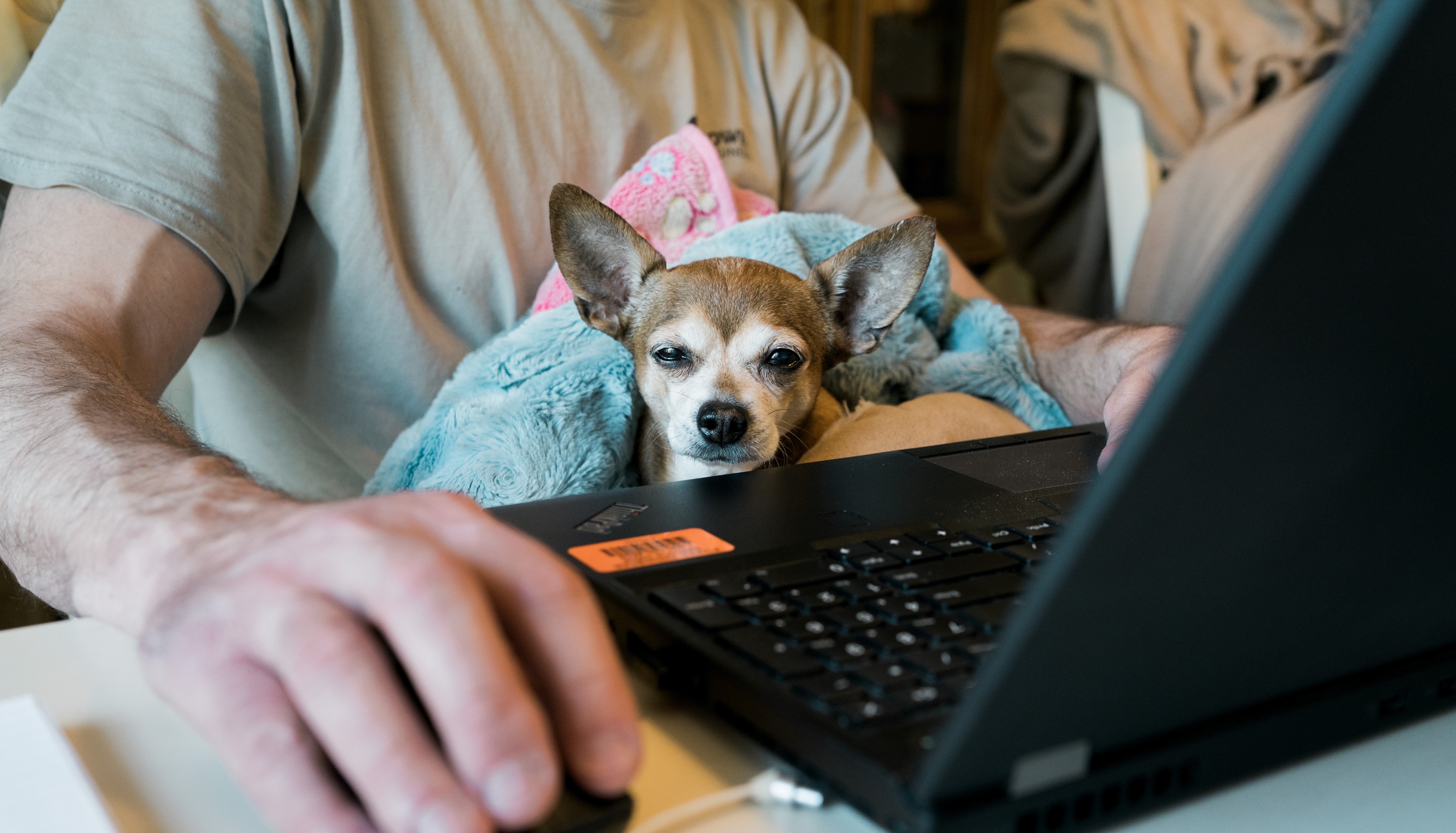 Remote working problems