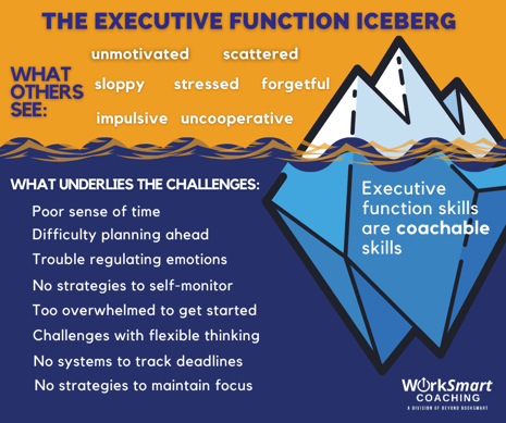 WSC long Executive Dysfunction iceberg